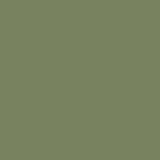Embellished sleeve sage green