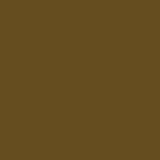 Embellished sleeve olive